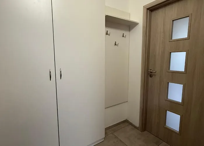 V Blízkosti Centra Brna