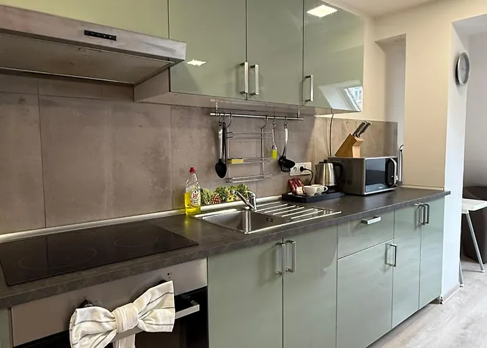 Apartamento V Blízkosti Centra Brna Brno