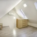 V Blizkosti Centra Brna * Brno