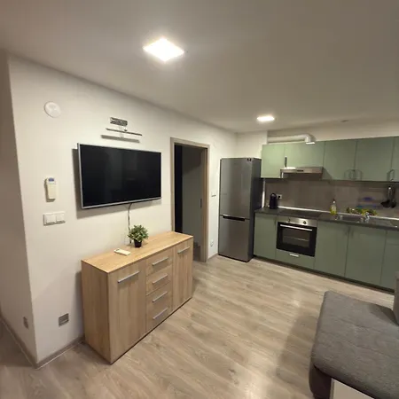 Apartment V Blizkosti Centra Brna Brno