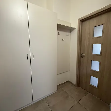 V Blízkosti Centra Brna