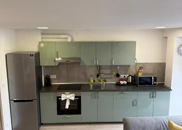 V Blizkosti Centra Brna Apartament *